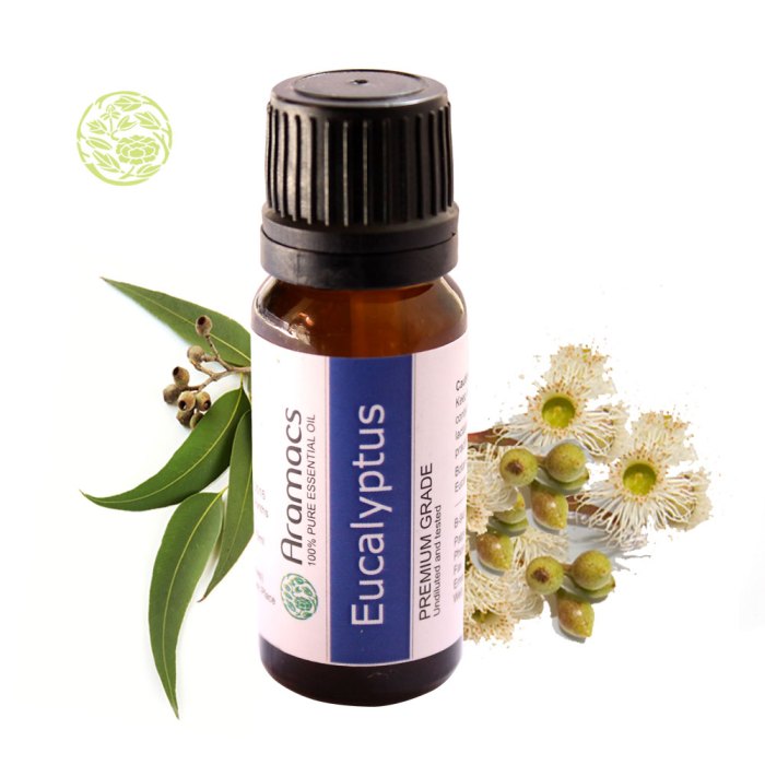 Eucalyptus oil essential provisions cart added been has Eucalyptus oil essential provisions cart added been has